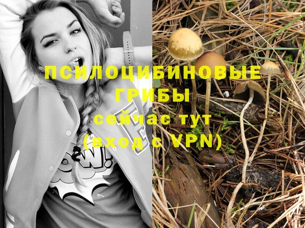 дмт Россошь