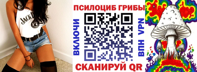 omg зеркало  хочу наркоту  Шарья  Галлюциногенные грибы Cubensis 